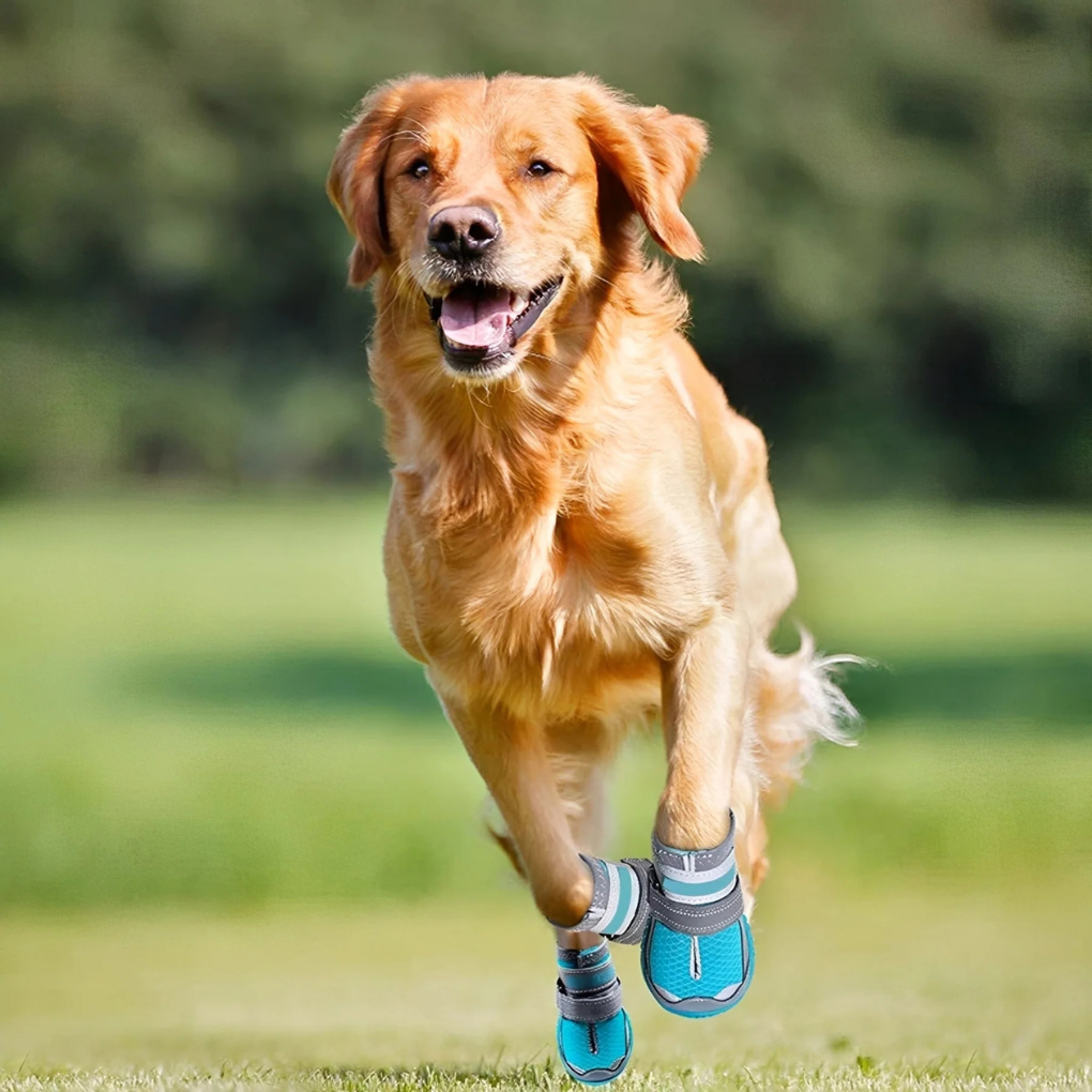 Grip Sole Waterproof Dog Boots