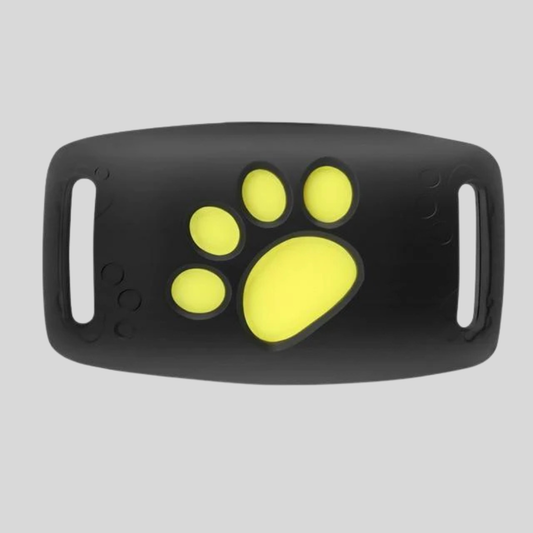 Live Pet Tracker with Real Time GPS Location