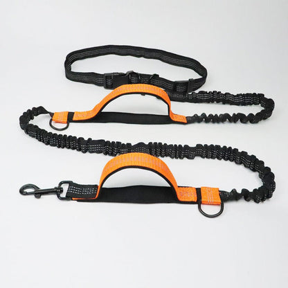 Versatile No-Tangle Dog Leash with Car Safety Harness