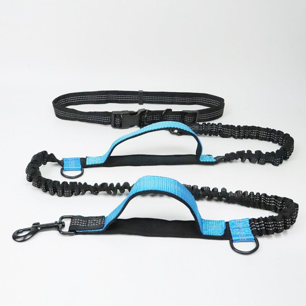 Versatile No-Tangle Dog Leash with Car Safety Harness