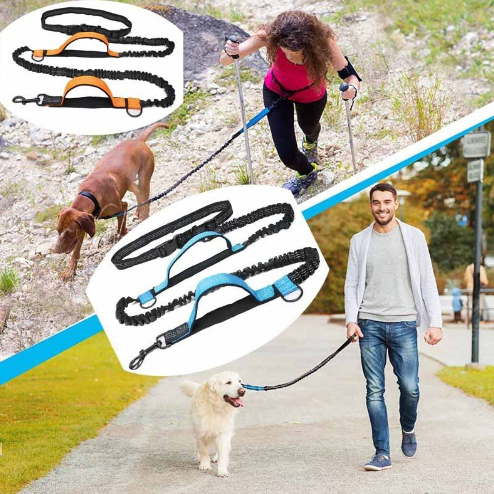 Versatile No-Tangle Dog Leash with Car Safety Harness