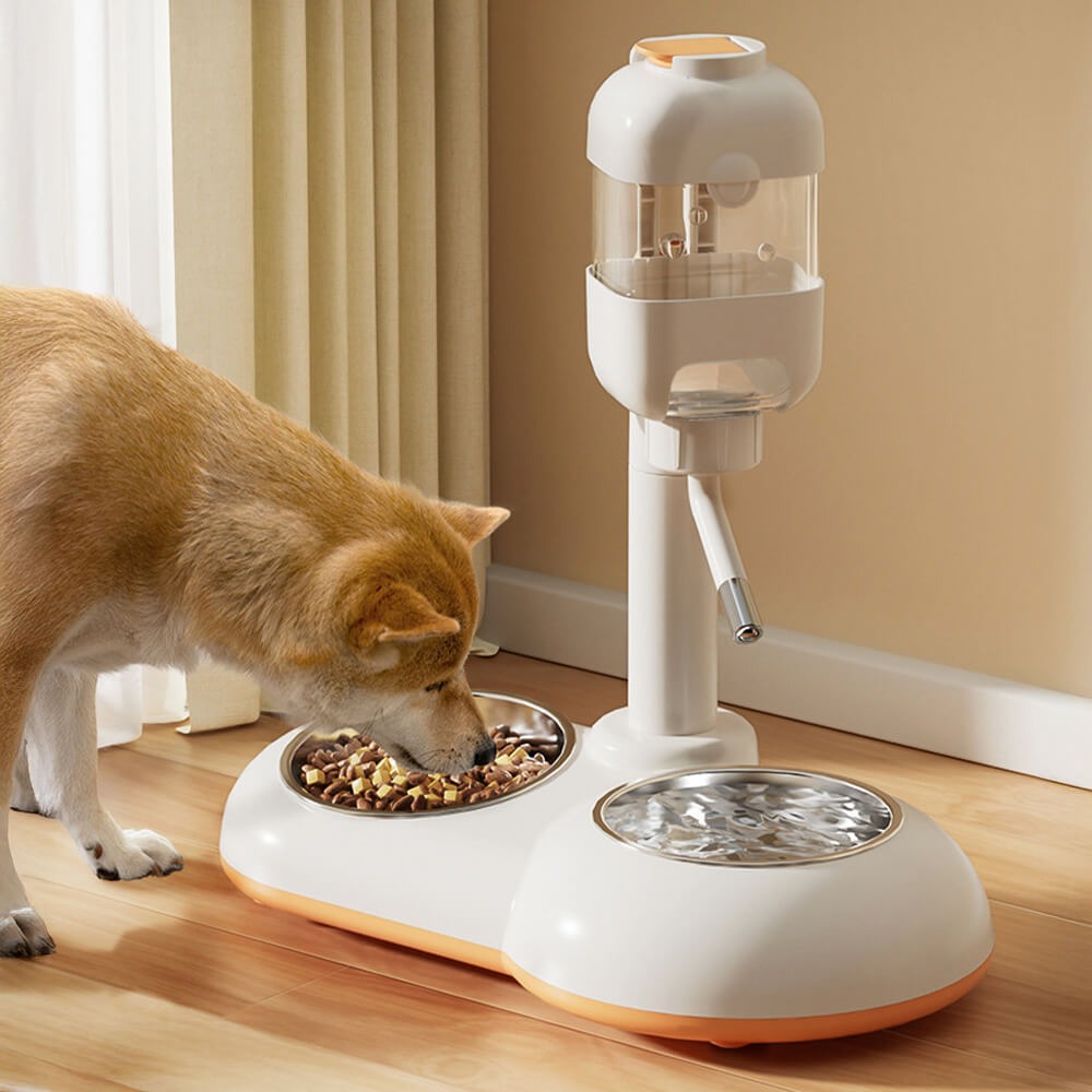 Automatic Pet Feeder and Water Bowl Set