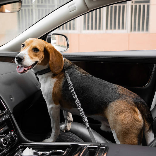 Secure Pet Car Harness Belt