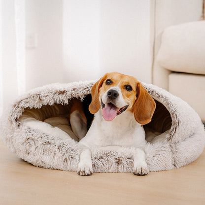 Cozy Soft Covered Pet Dog Bed