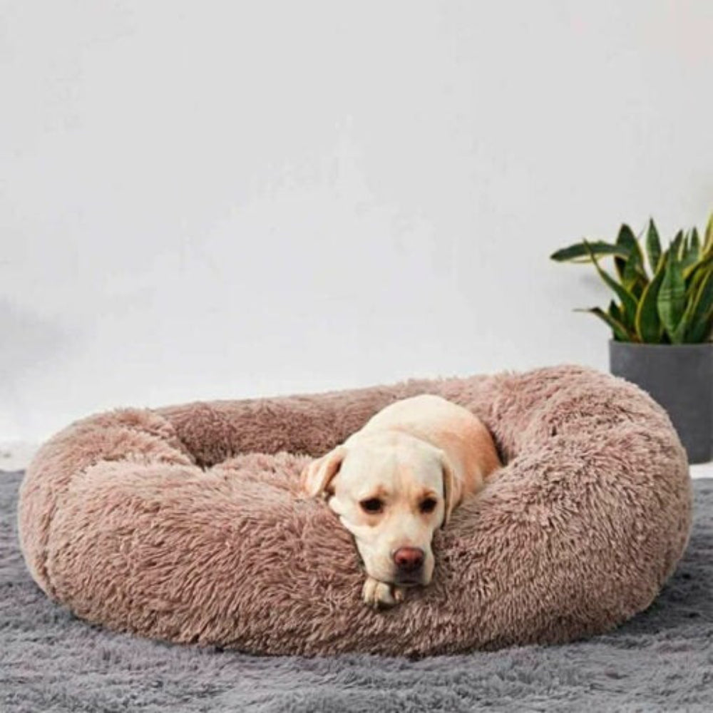 Comforting Stress Relief Pet Bed