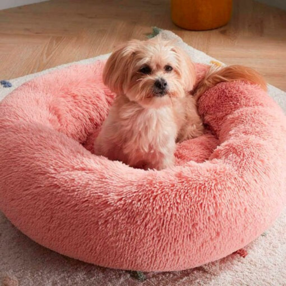 Comforting Stress Relief Pet Bed