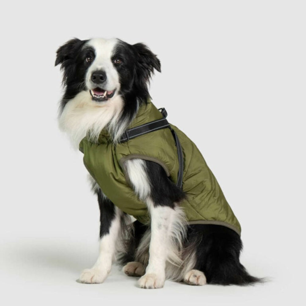 Rainproof Pet Coat with Built-in Harness