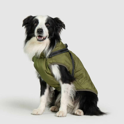 Rainproof Pet Coat with Built-in Harness