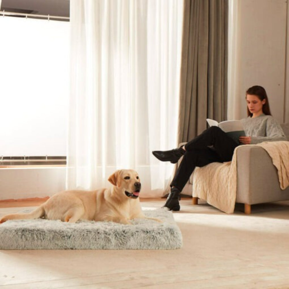 Comfortable Supportive Orthopedic Dog Bed Mattress