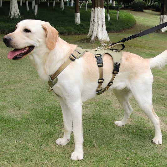 Comfortable Pet Walking Harness