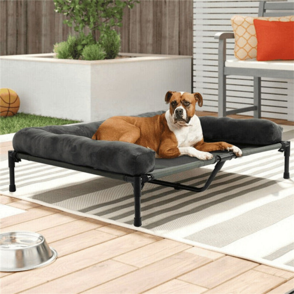 Comfortable Elevated Dog Bed Large Breed