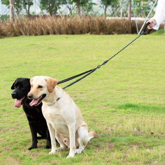 Easy Walk Double Dog Leash