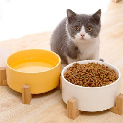 Classic Dog Food Bowl with Wooden Base
