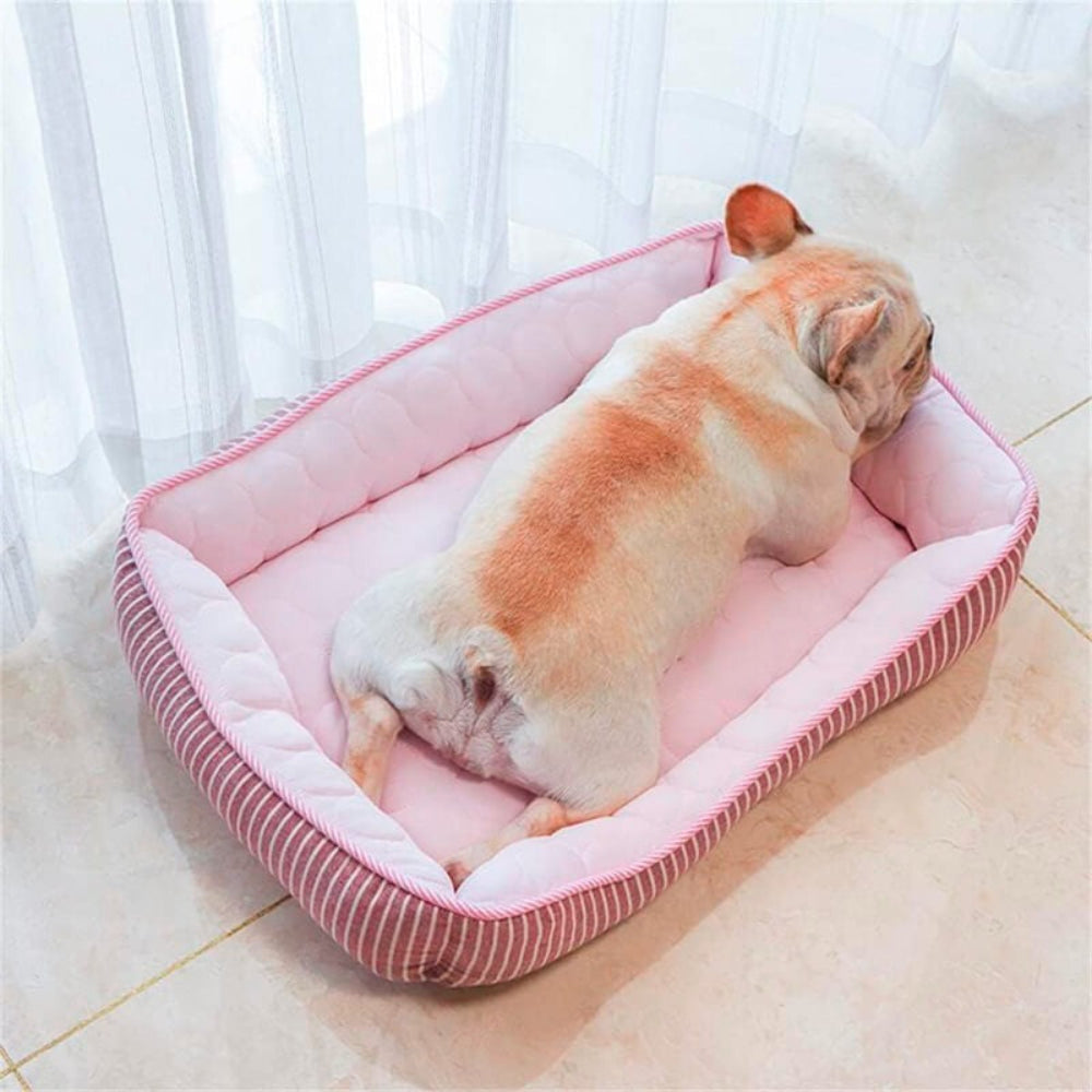 Cool Pet Bed for Summer Relief