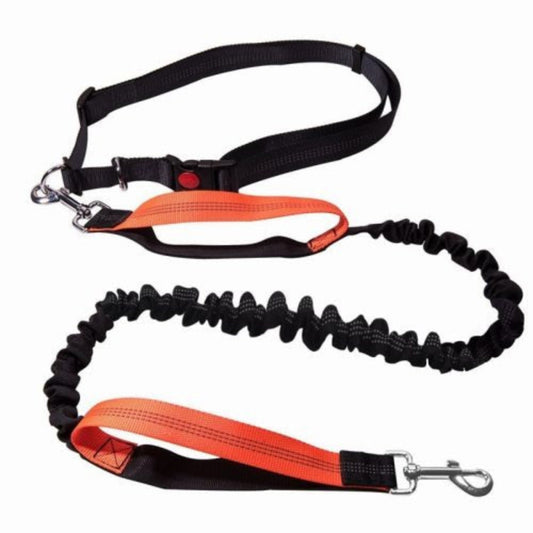 Comfortable Padded Hands-Free Dog Leash