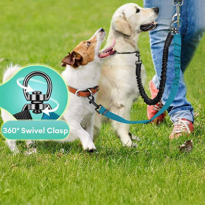 Comfortable Double Dog Leash with Bungee and Tangle Free Design