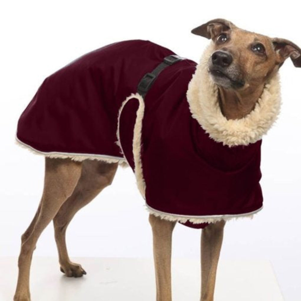 Cozy Fleece Dog Coat for Small Breeds