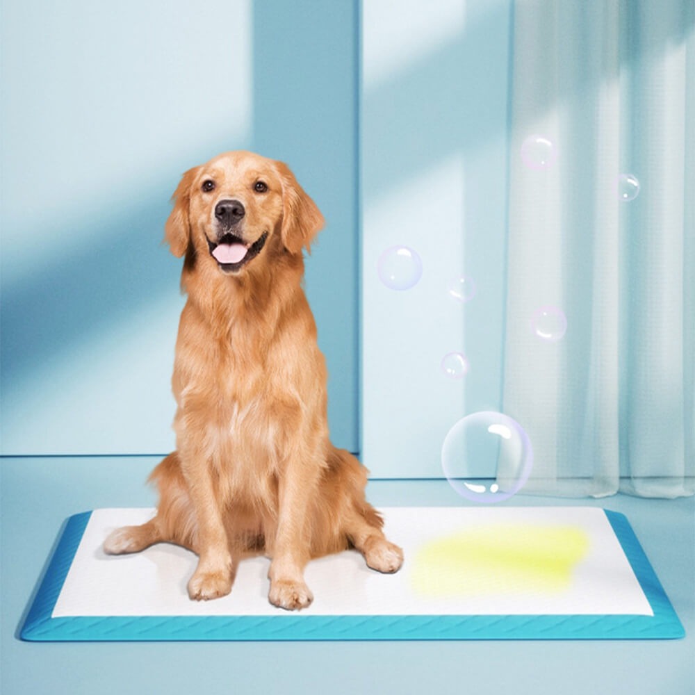 Pet Puppy Training Pads Leak Proof and Absorbent